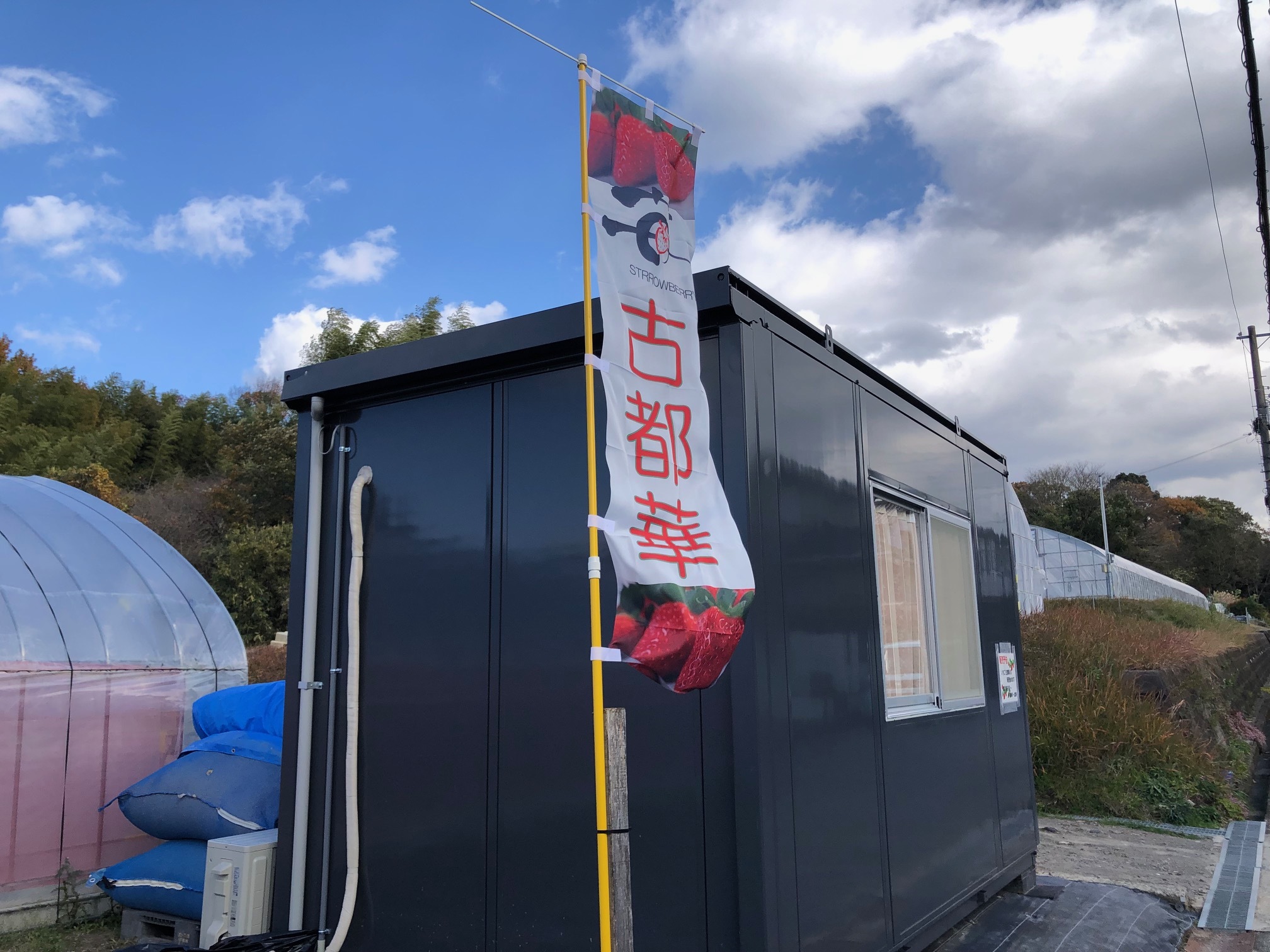 旬の激ウマいちごを食べ尽くす「超いちご箱」2025！専門家による